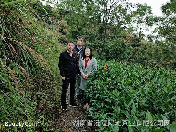 2019年天津客戶來公司考察8