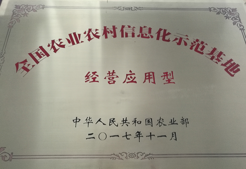 湖南省沅陵碣灘茶業有限公司,沅陵茶園開發,茶葉加工,茶文化傳播