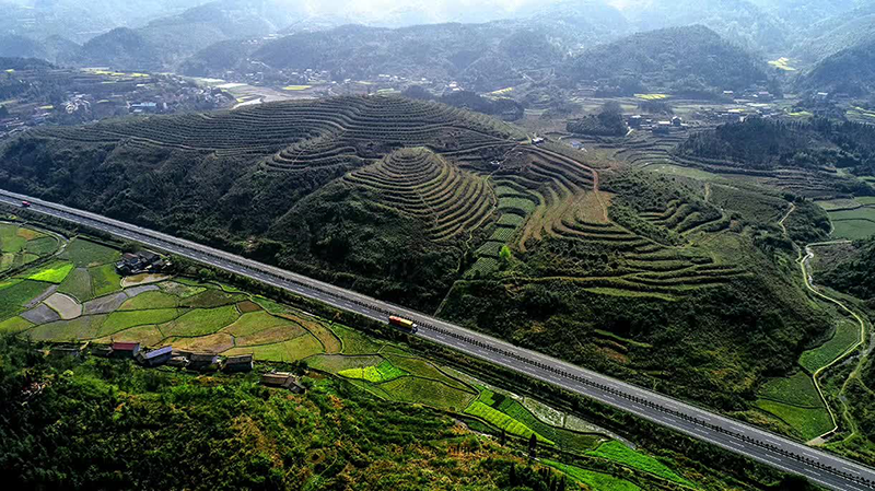 湖南省沅陵碣灘茶業有限公司,沅陵茶園開發,茶葉加工,茶文化傳播