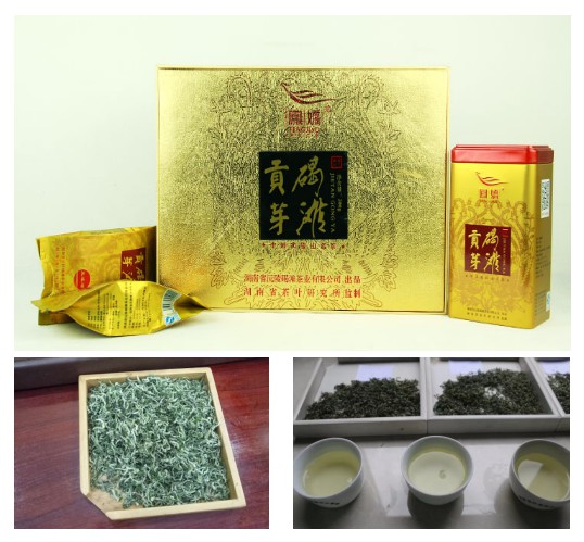 湖南省沅陵碣灘茶業(yè)有限公司,沅陵碣灘茶,茶葉加工銷售,茶文化傳播