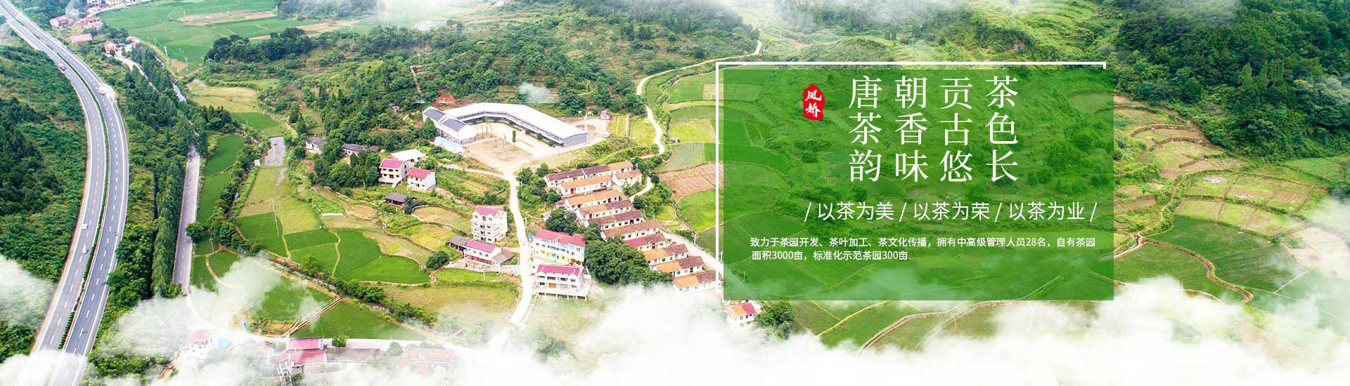 湖南省沅陵碣灘茶業有限公司